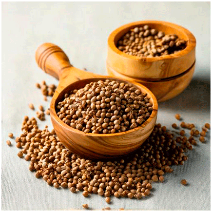 Natural Coriander Flavour Oilsoluble